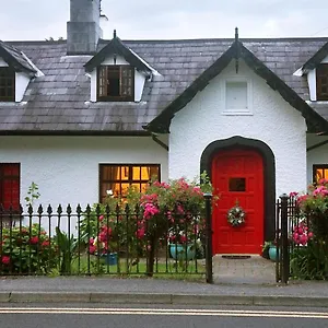 Ivy Bed & Breakfast